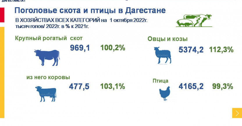 Поголовье скота и птицы на 1 октября 2022г